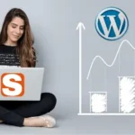 Wordpress Web Hosting Beginners