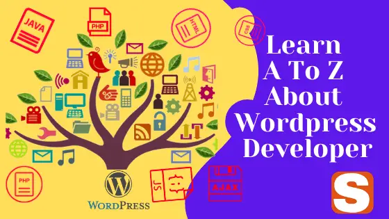 Learn All About WordPress Developer Details