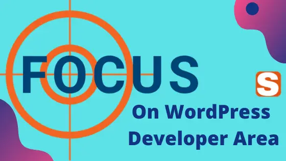 Focus On WordPress Developer Area