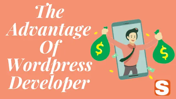 The Advantages Of WordPress Developer